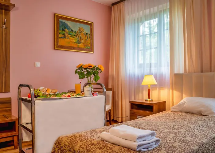 Hotel Modrzewiówka 3*