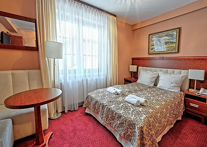 Modrzewiówka Hotel 3*